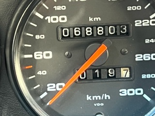 31